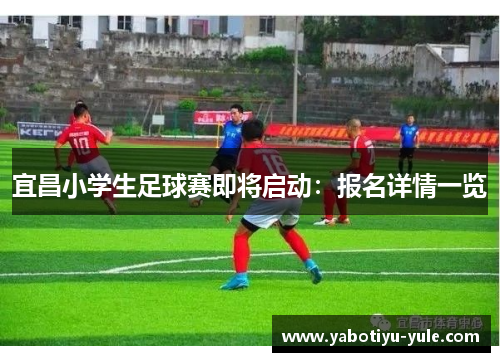 宜昌小学生足球赛即将启动：报名详情一览